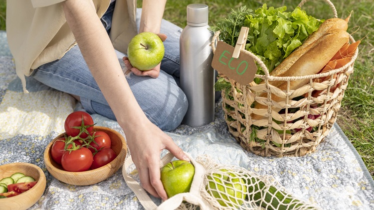 Pique-nique zéro déchet respectueux de l'environnement