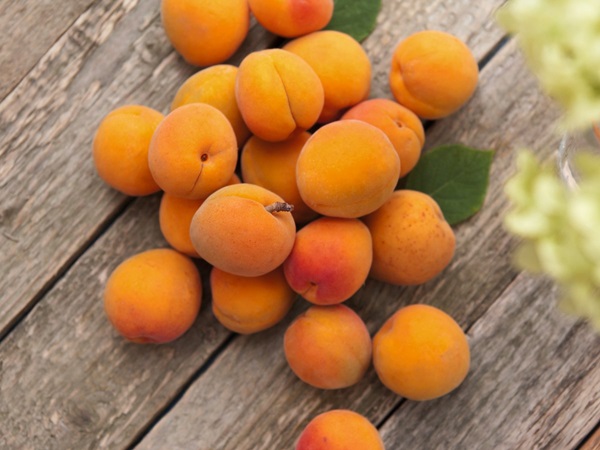 Article blog barbecueFruit étéOrange