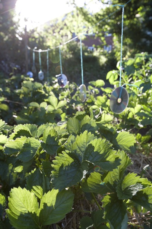 Visuel projet Josette Blog up cycling