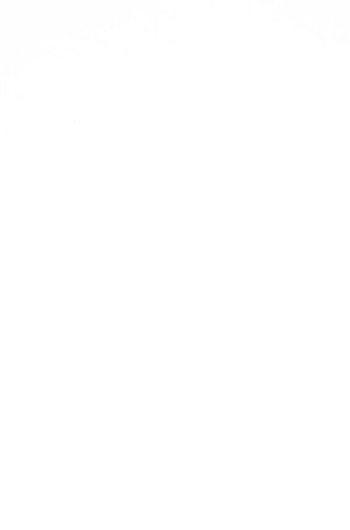 Façade laquée Blanc