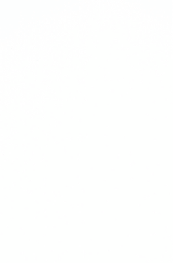 Façade unie brillante Blanc brillant