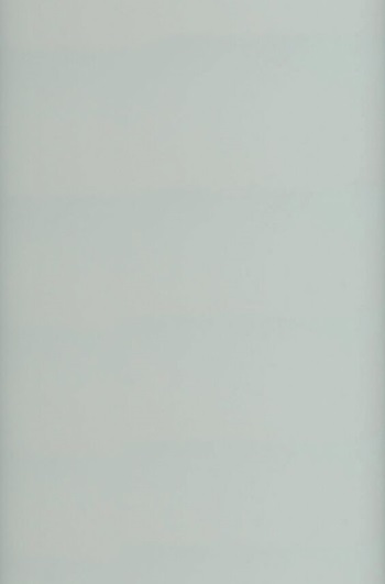 Façade miroir et verre - Verre opale