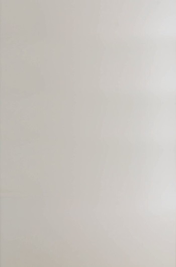 Façade miroir et verre - Miroir dépoli