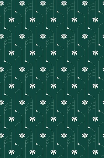 Façade Pimp Perce neige