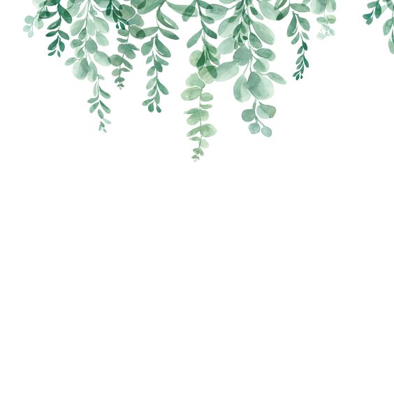 Guirlande Végétale