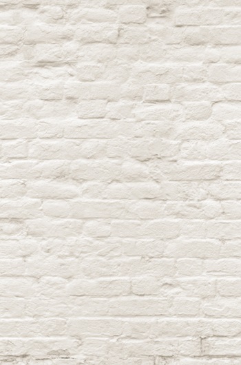 Panneau de crédence Pimp - Briques blanches